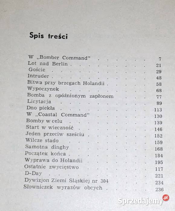 Dywizjon Ziemi Śląskiej 304 Władysław Chełm