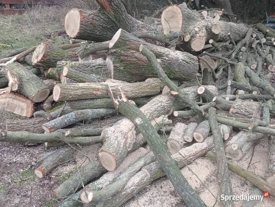 Sprzedam drewno kominkowe lubuskie Podła Góra