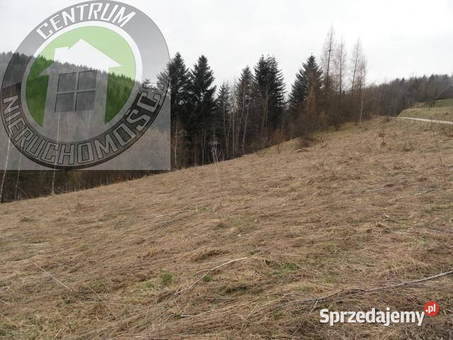 Działka na sprzedaż Ochotnica Dolna 10000m