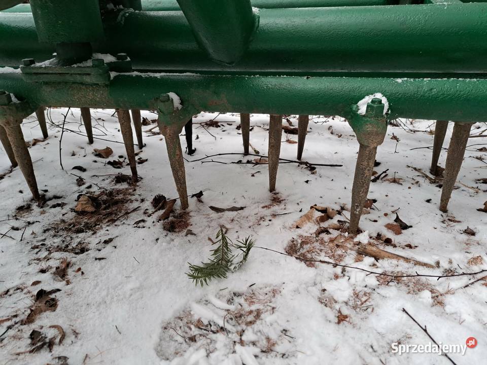 Brona aktywna Przysietnica