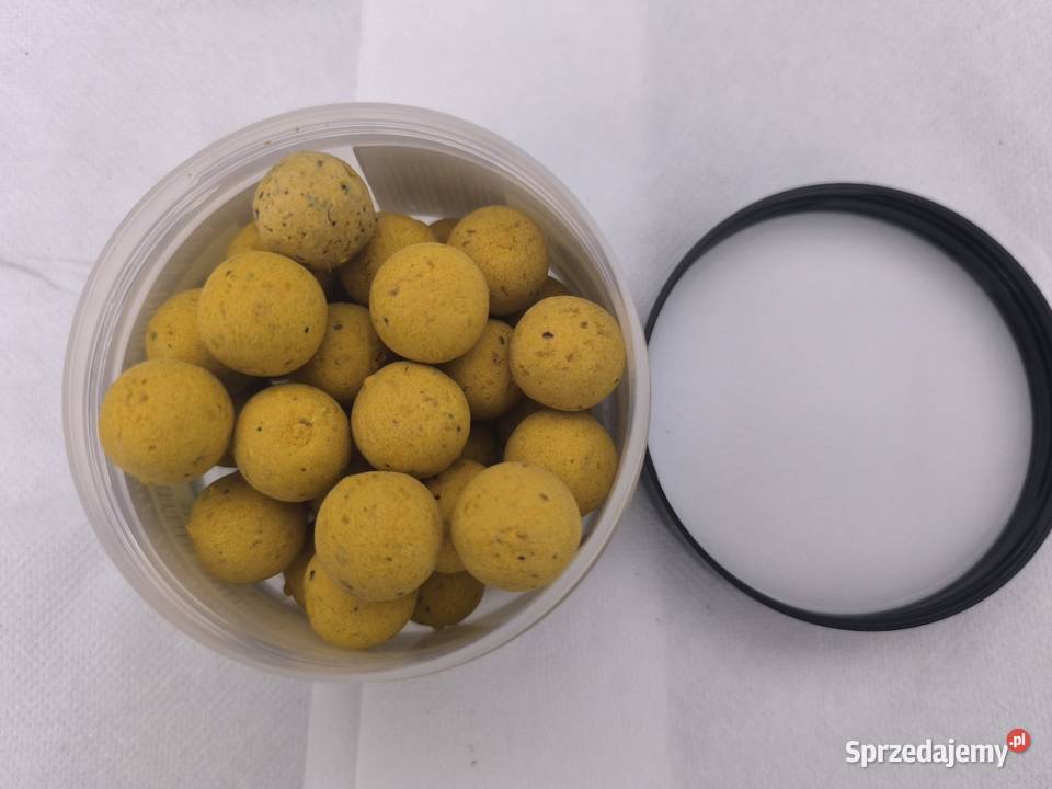 Lorpio Kulki Proteinow Carp Program Floating