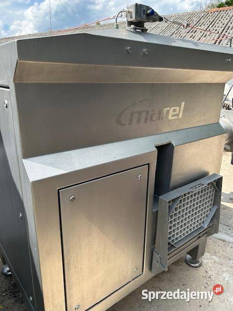 WILK MAREL 250 Do Mięsa Świeżego i Mrożonego Produkcja Głogówko