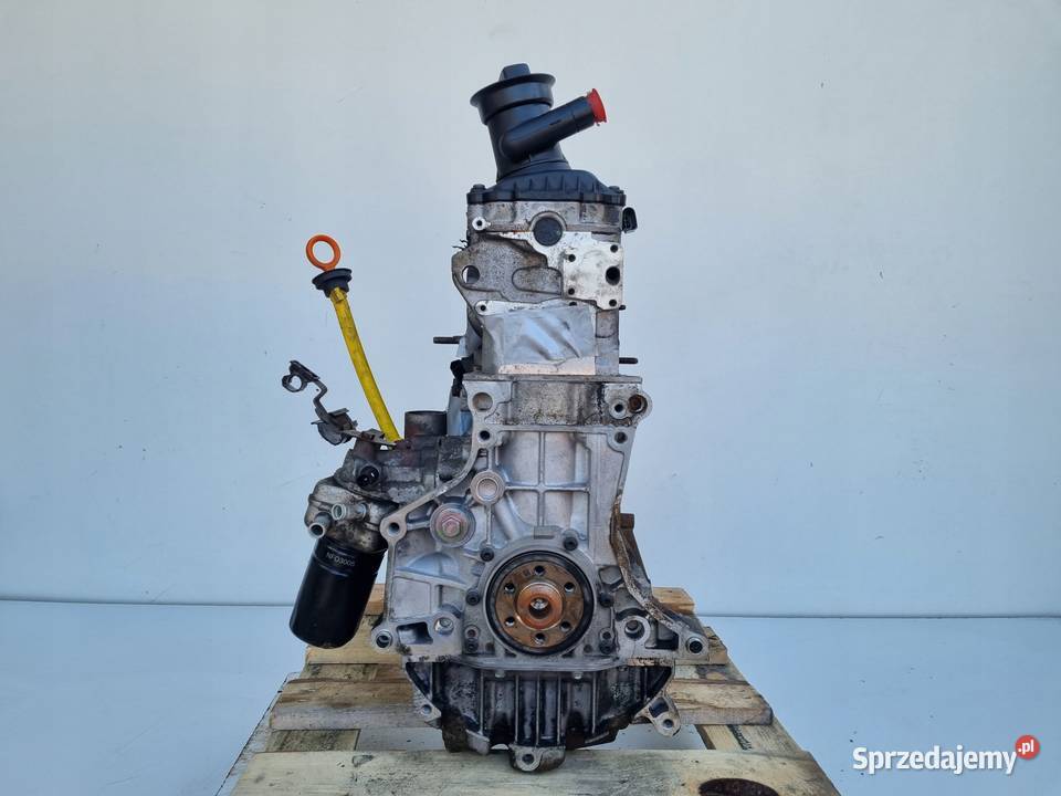 SILNIK Seat Altea 16 8V 102 bierze olej BGU BSE Janów