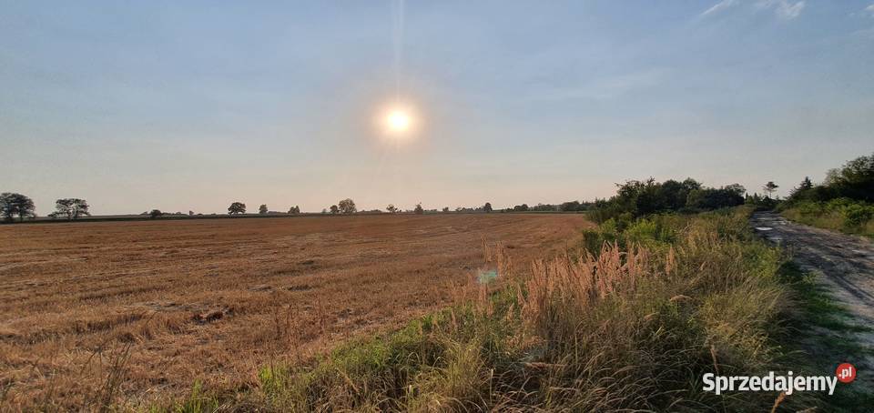 Działka Budowlana 45246 m2 Pod InwestycjęMEDIA dolnośląskie Źródła