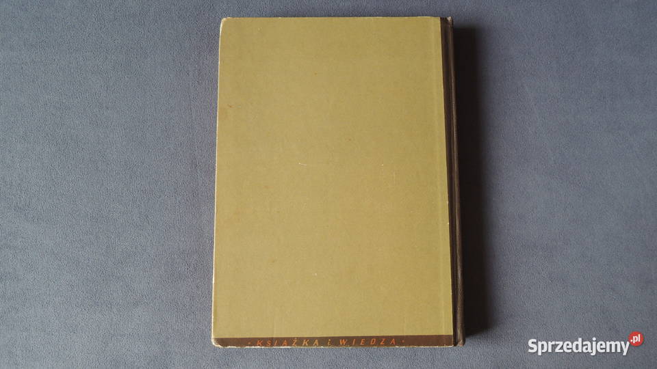 Książka Dziurdziowie Eliza Orzeszkowa Białystok sprzedam