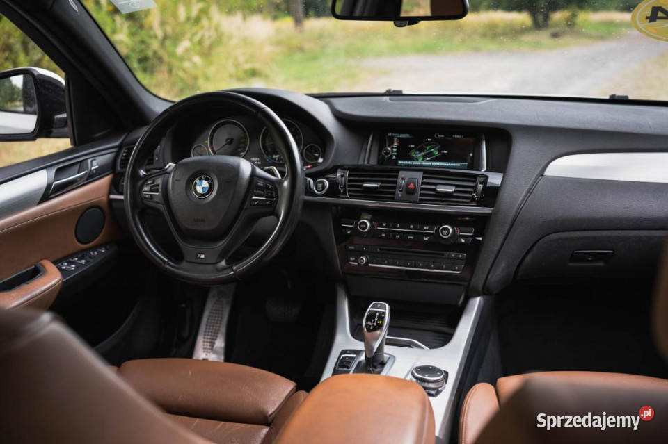 BMW X4 xDrive28i X4 Katowice