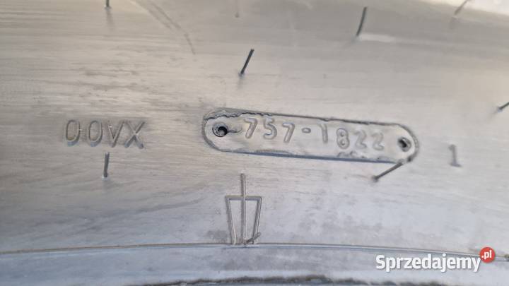 60065r34 Taurus Nowe 2022r Nowe Miasto Lubawskie