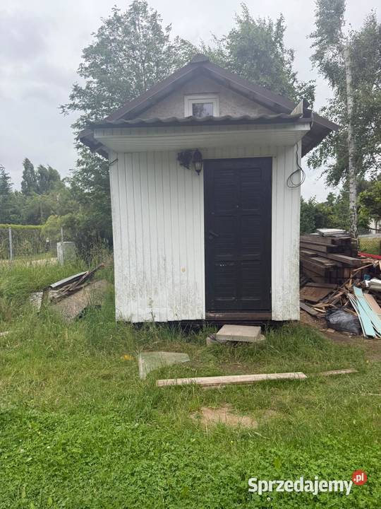 Barak holenderka pomorskie Warszawa