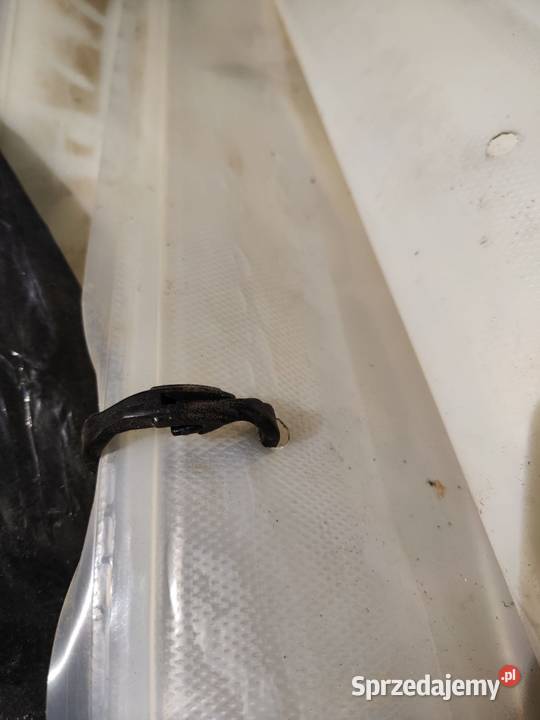 FOLIA NA CZEREŚNIE Dwikozy