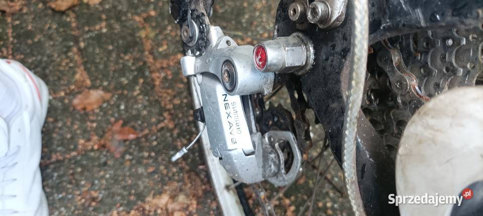 Rower Trekkingowy Miejski męski Gazelle Luzern śląskie Bytom sprzedam