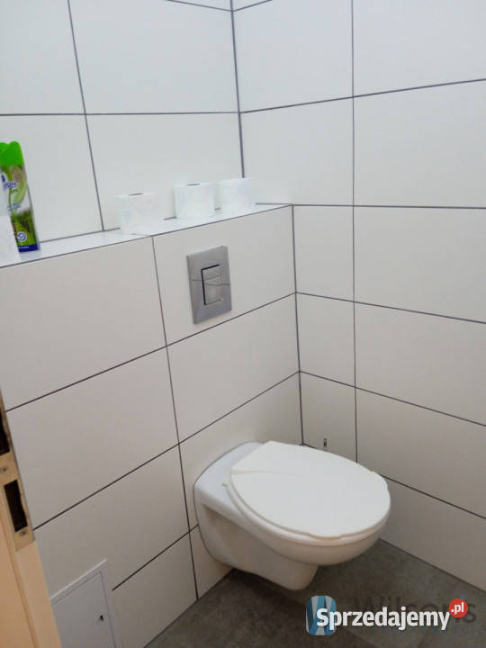 wynajmu lokalu 549m2 Milejowice Jaworowa mazowieckie