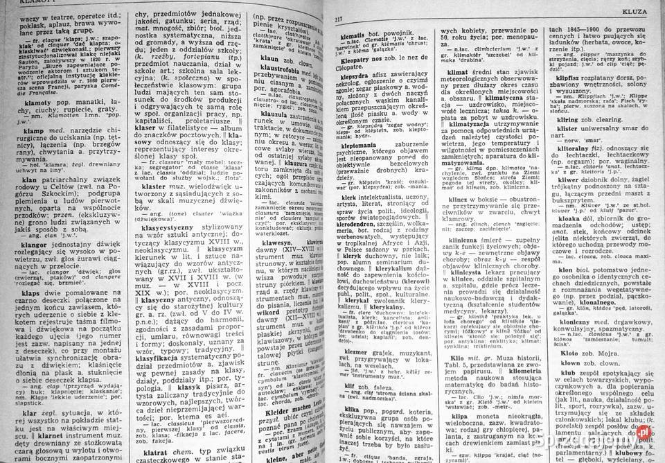 Słownik wyrazów obcych i zwrotów obcojęzycznych lubelskie Chełm