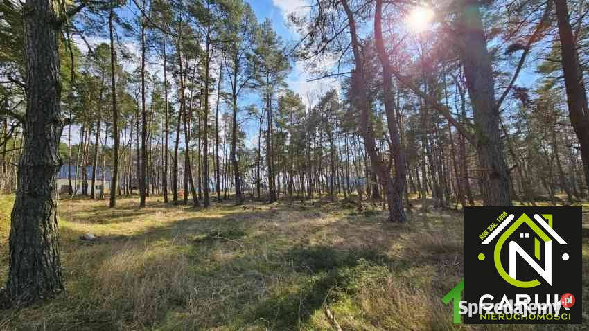 Grunt 1415m2 Dziwnów