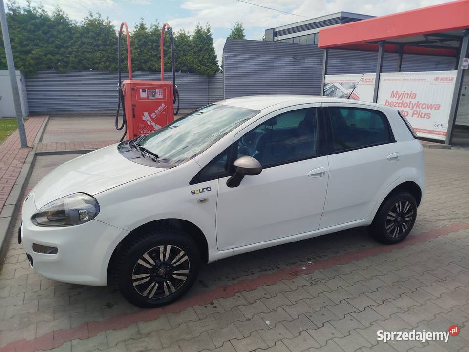 Fiat Punto Young 14 benzyna 2014 Rok produkcji 2014 Punto Kalisz