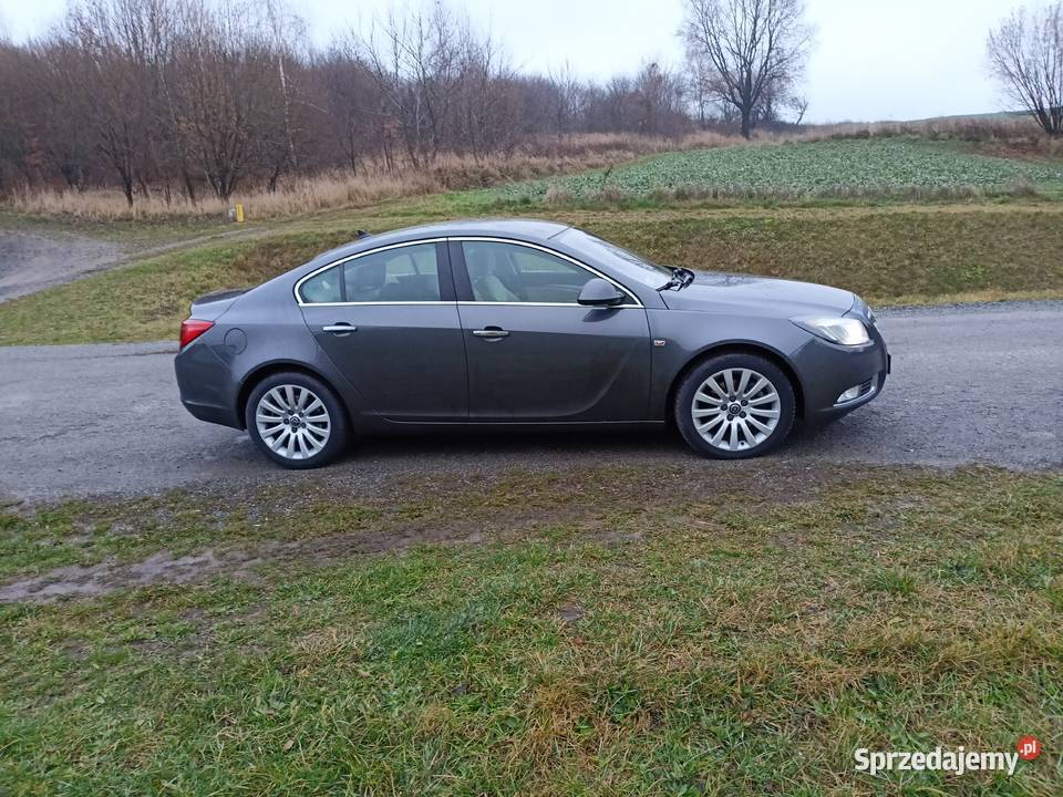 Opel Insignia 20 benzyna Turbo 4x4 Ropczyce