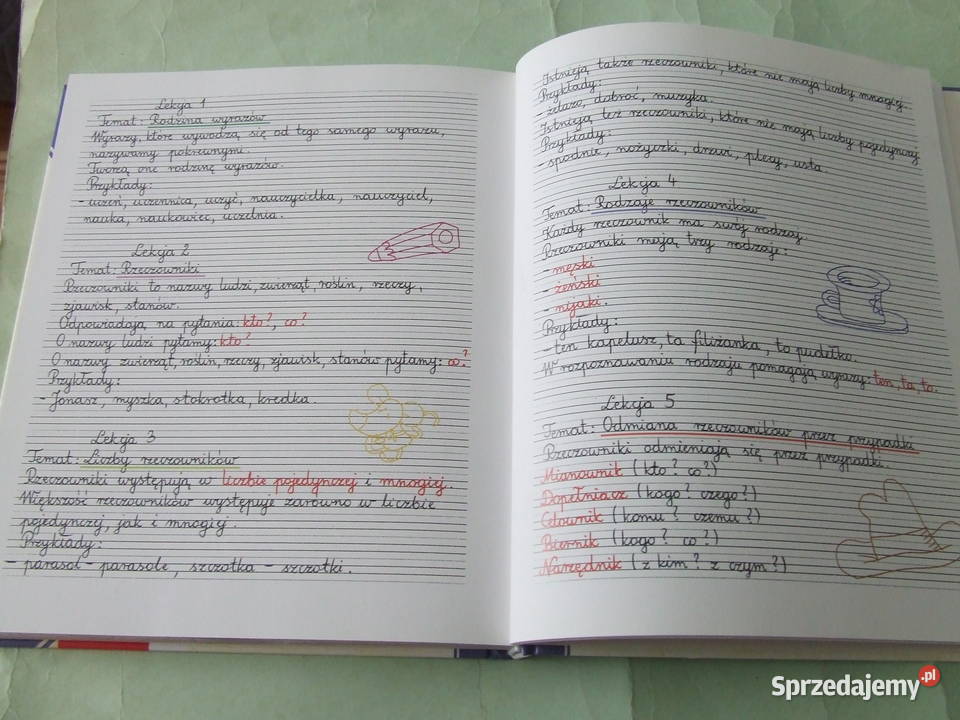 Księga gramatyki Lamelii Szczęśliwej Krzyżanek twarda Oborniki Śląskie