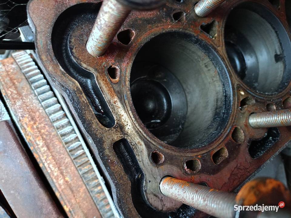 Silnik Ford Transit mk8 uszkodzony 230000 20 Częstochowa