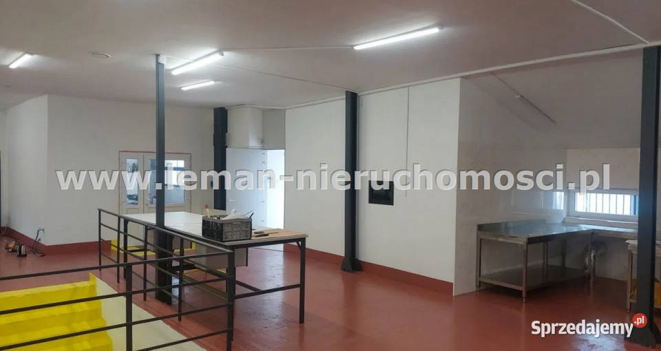 Lokal Lublin 205m2