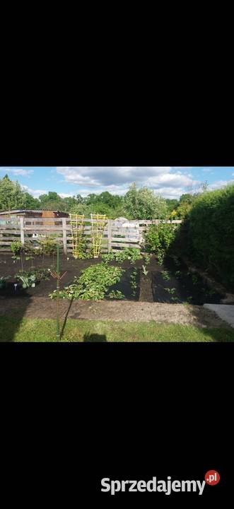 SPRZEDAM DZIAŁKĘ ROD NAFTA wielkopolskie Piła