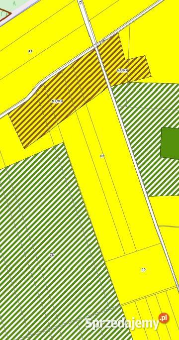 Działka rolna z możliwością zabudowy Sprzedaż Wierzchy
