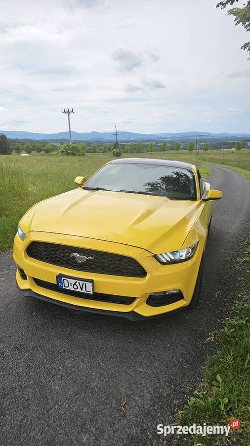Ford Mustang 37 BLPG 2015r Motoryzacja Zawidów