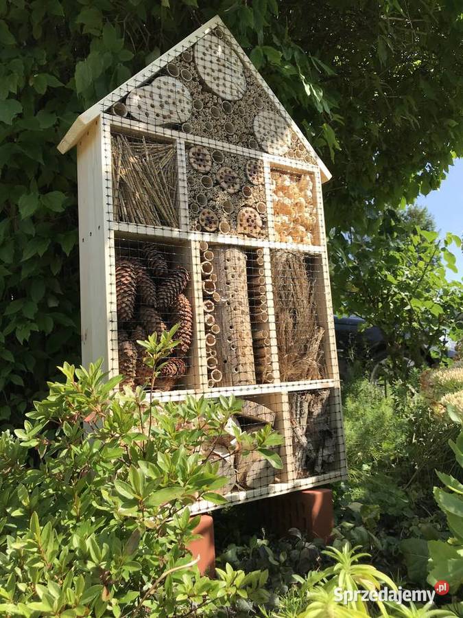 Domek owadów OGROMNY zachodniopomorskie Sławno
