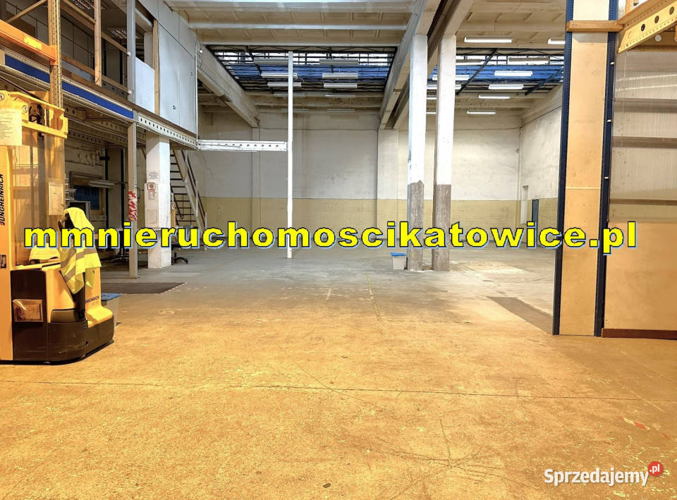 Hala ogrzewana do wynajęcia Katowice DTŚ w tym Wynajem