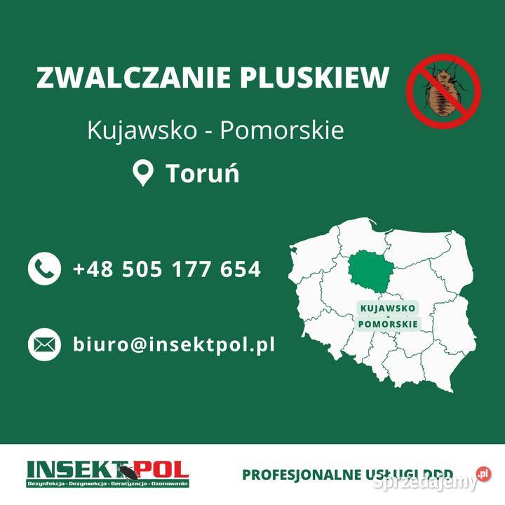 Zwalczanie pluskiew Toruń Odpluskwianie