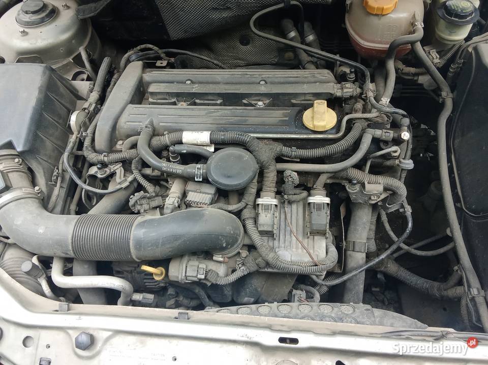 Opel signum GTS dariect silnik 2216v 155KW Kamieniec Wrocławski