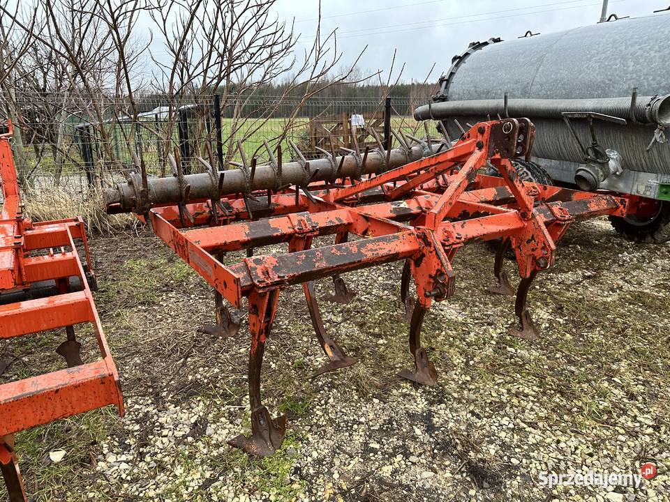 Gruber landsberg 11łap nieuszkodzony świętokrzyskie Włoszczowa