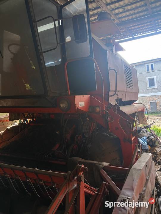 Sprzedam Bizona i Rekorda Zbożowe Bolesławiec