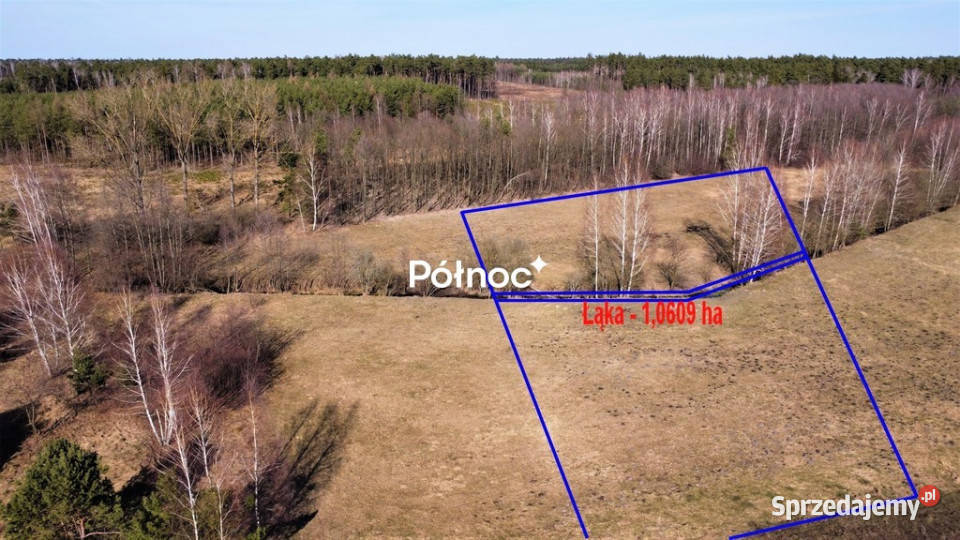 Łąka i las w Cieleśnicy