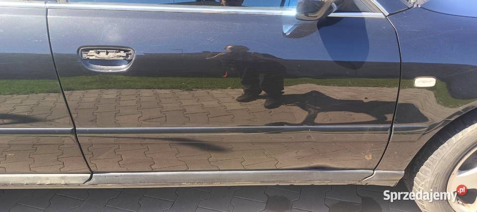 Drzwi Gołe Przód Prawy LZ9W Audi A4 B5 FL a28 osobowe Drzwi Myszków