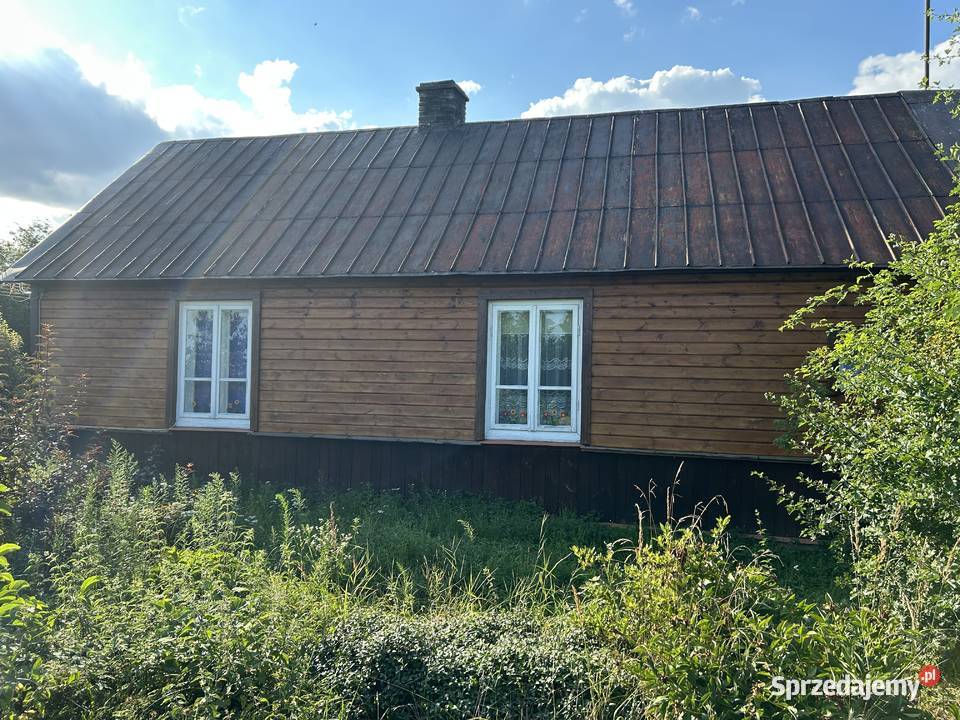Siedlisko z domkiem drewnianym i polem Przeuszyn sprzedam