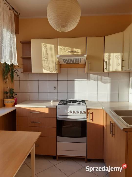 Mieszkanie do wynajęcia wynajmę Zduńska Wola