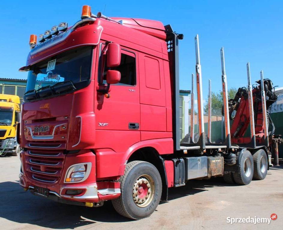 Do przewozu drzewa konice dzwig do drewna DAF diesel