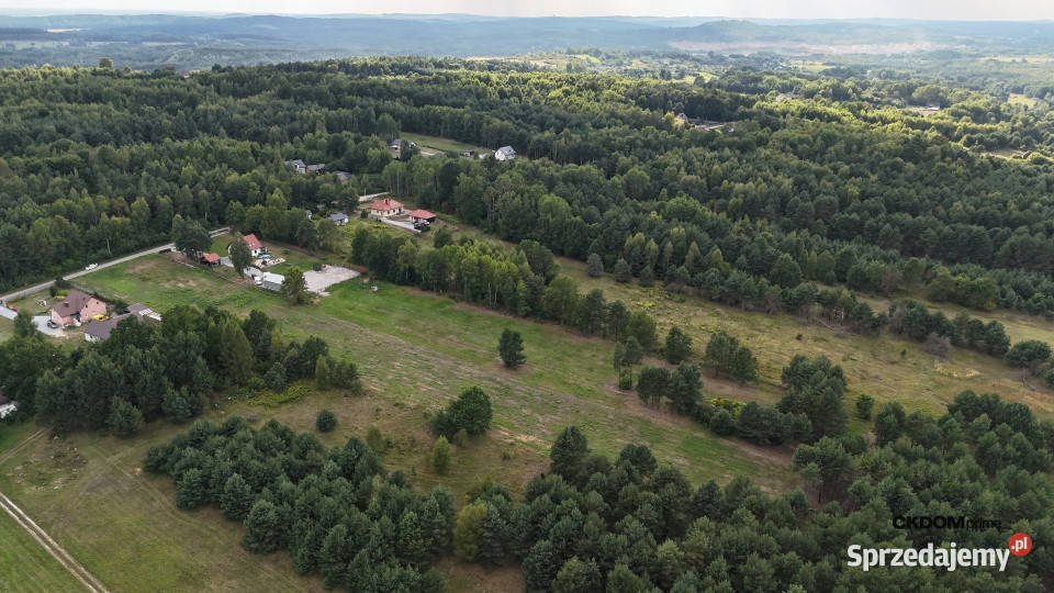 Działka na sprzedaż 910 m2 Gałęzice gm Piekoszów 69zł/m2