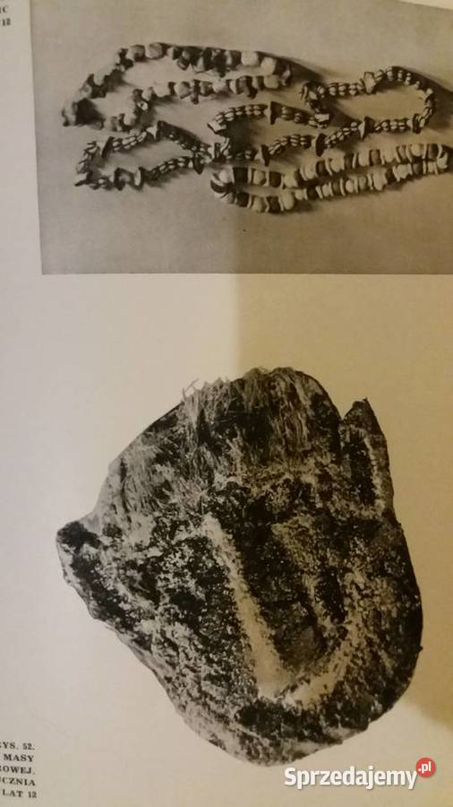 Lewicka 100 technik plastycznych aukcje mazowieckie Warszawa