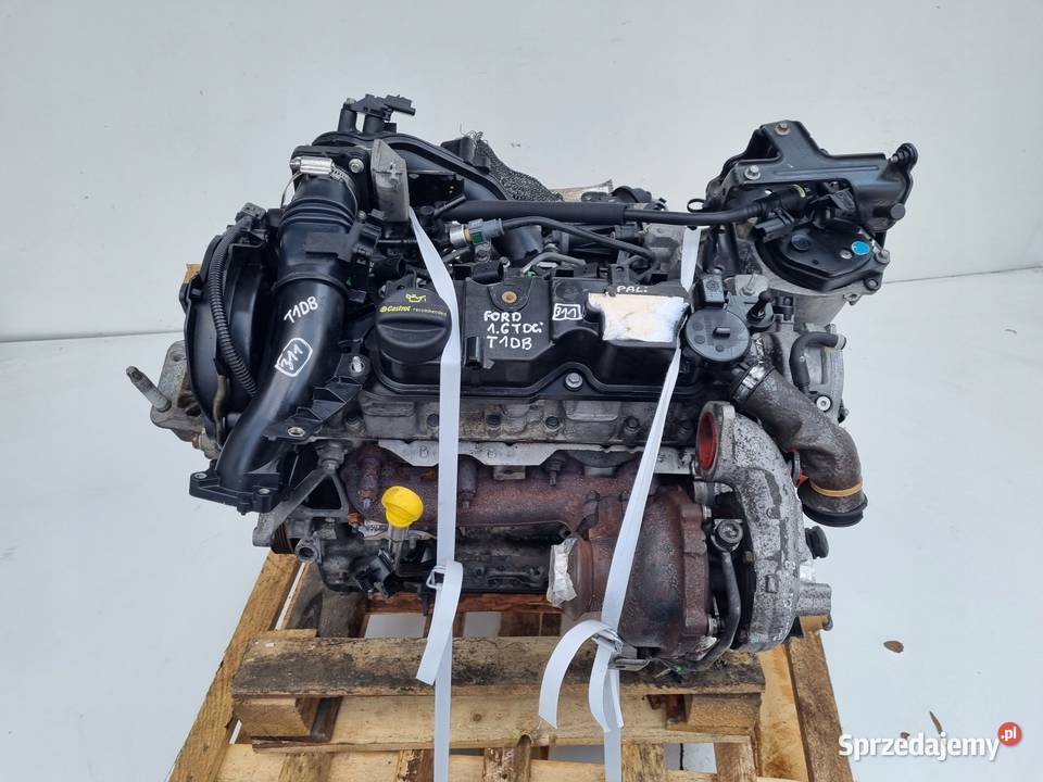 SILNIK Ford Focus III MK3 16 TDCI 115 T1DA T1DB lubelskie Rudka