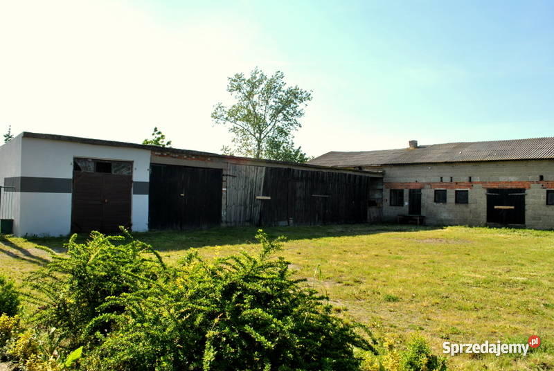 Dom z bud gospodarczymi Wacławów między Słupca a Liczba pokoi 6 Domy Wacławów