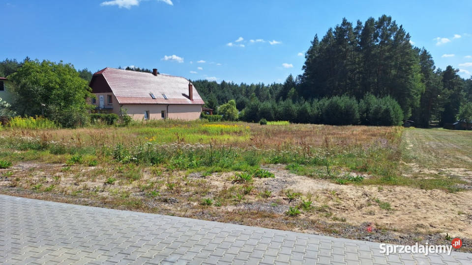 działka 1000m Roztocze Trzepieciny Krasnobród Sprzedaż