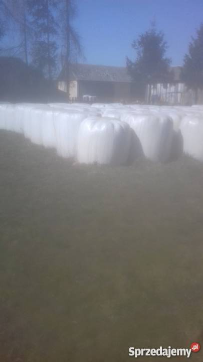 Sianokiszonka Pozostałe świętokrzyskie Radwanów-Kolonia