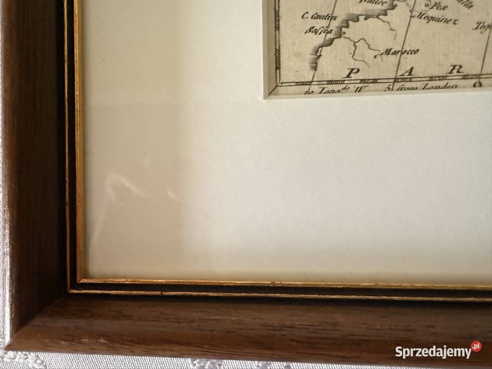 Antyczna Mapa Europy XIX Wiek Oryginalny Czerwionka-Leszczyny