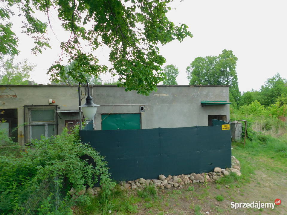 Syndyk sprzeda Grabów Wisłą mazowieckie