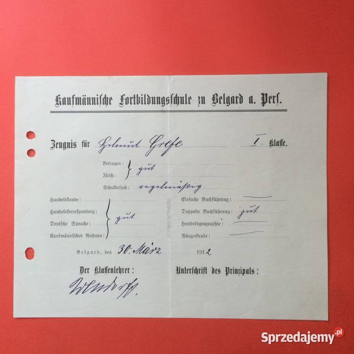 1818 NiemŚwiadectwo Komercyjnej Szk Białogard 5 Szczecin sprzedam