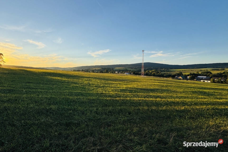 Działka 99a rolbud Smerekowiec Uście Gorlickie 419m małopolskie sprzedam