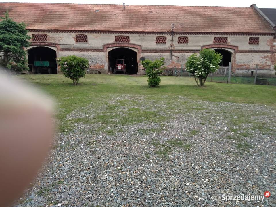 Na sprzedaż Liczba pokoi 6 Sprzedaż