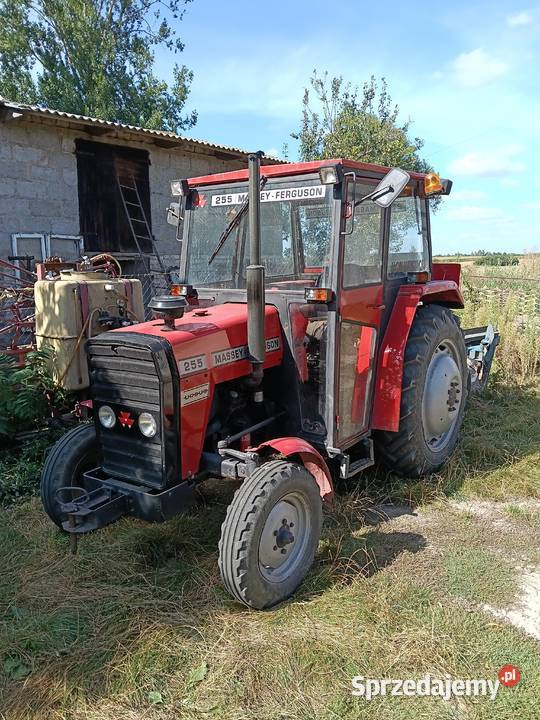 Likwidacja Gospodarstwa Massey Ferguson Szczawin Kościelny sprzedam