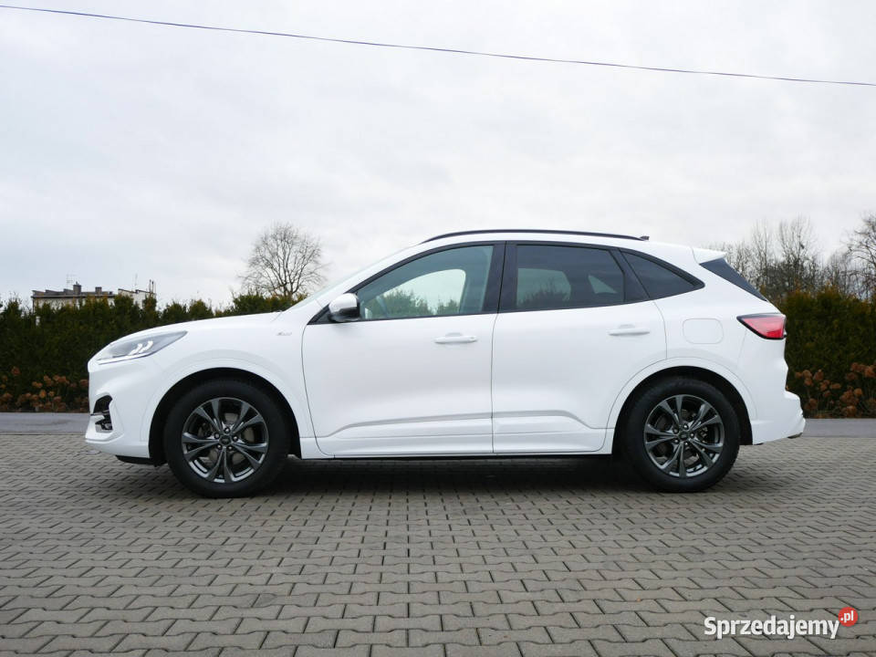 Ford Kuga 15 EcoBlue 120 Eu6 StLine Automat 8b Goczałkowice-Zdrój