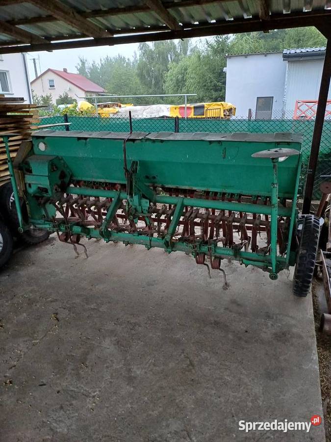 Siewnik Poznaniak Przasnysz